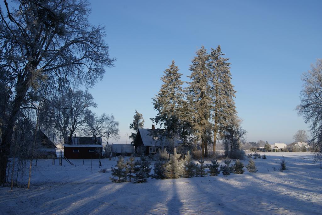 Penzion Sepa Talu Aakre Exteriér fotografie